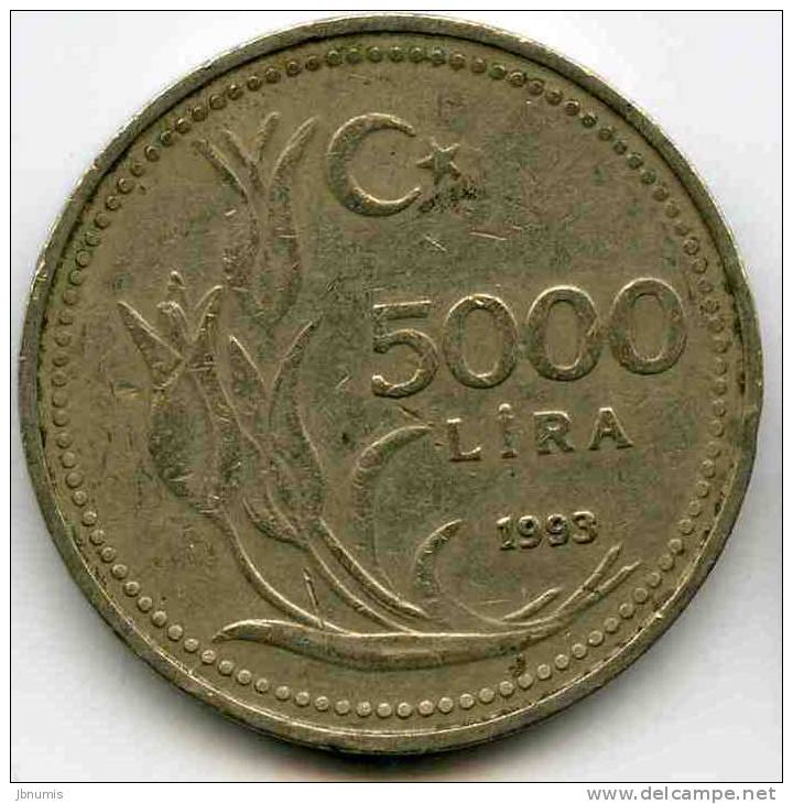 Turquie Turkey 5000 Lira 1993 KM 1025 - Türkei
