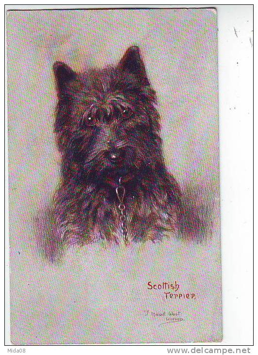 SCOTTISH TERRIER Par MAUD WEST WATSON. RAPHAEL TRUCK . OILETTE. N: 8837 - Tuck, Raphael