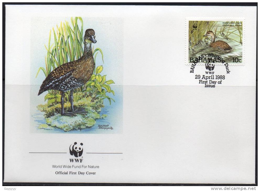 WWF - 1988 - Bahamas - Dendrocygne Des Antilles - FDC 1 Carte + 1 Lettre - Other & Unclassified