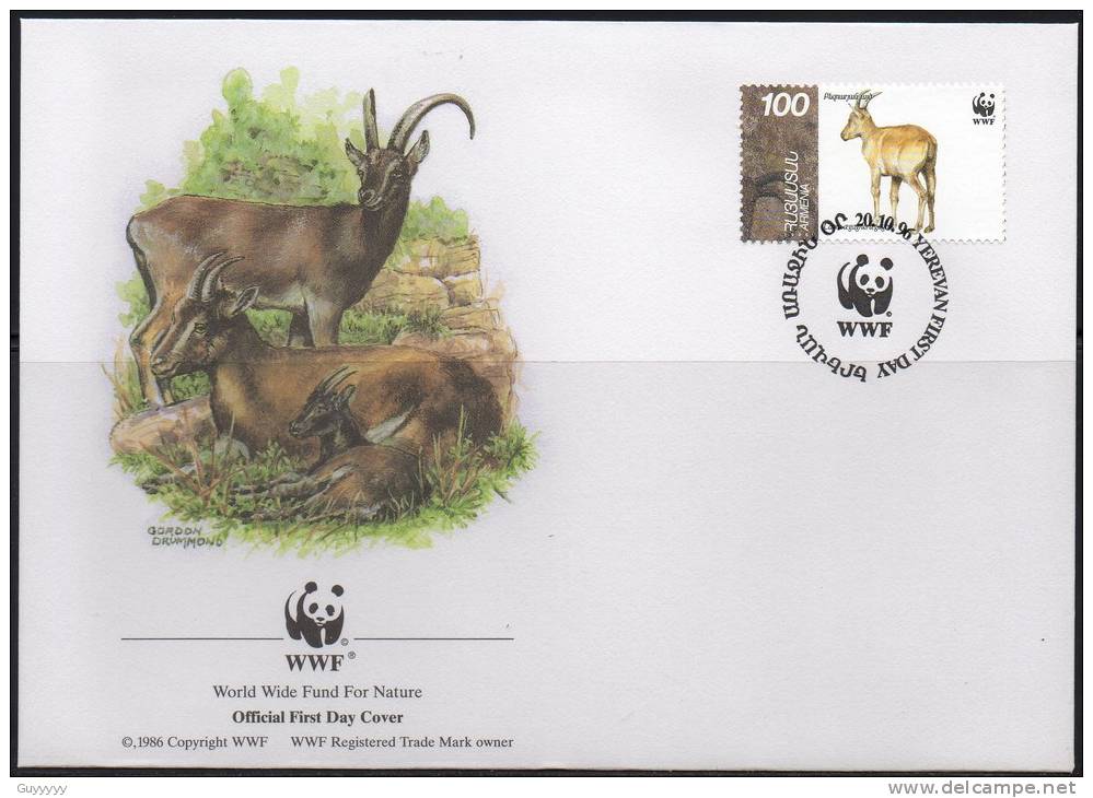 WWF - 1996 - Arménie - Chèvre à Bezoard - FDC 1 Carte + 1 Lettre - Other & Unclassified