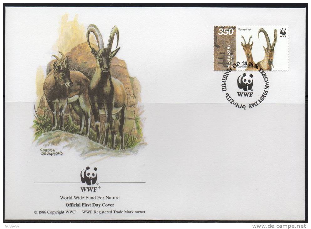 WWF - 1996 - Arménie - Chèvre à Bezoard - FDC 1 Carte + 1 Lettre - Other & Unclassified