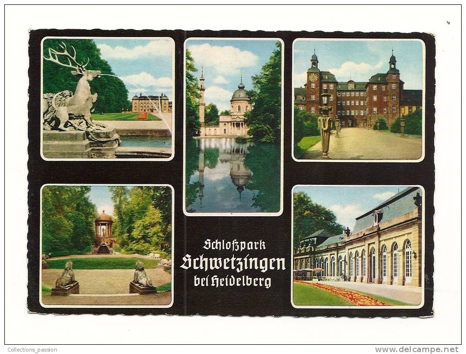 Cp, Allemagne, Schhlofzpark Schwetzingen Bei Heidelberg, Multi-Vues - Schwetzingen