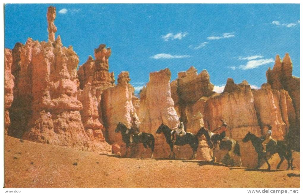 USA – United States – Horseback Riders, Bryce Canyon National Park, Utah, Unused Postcard [P5493] - Bryce Canyon