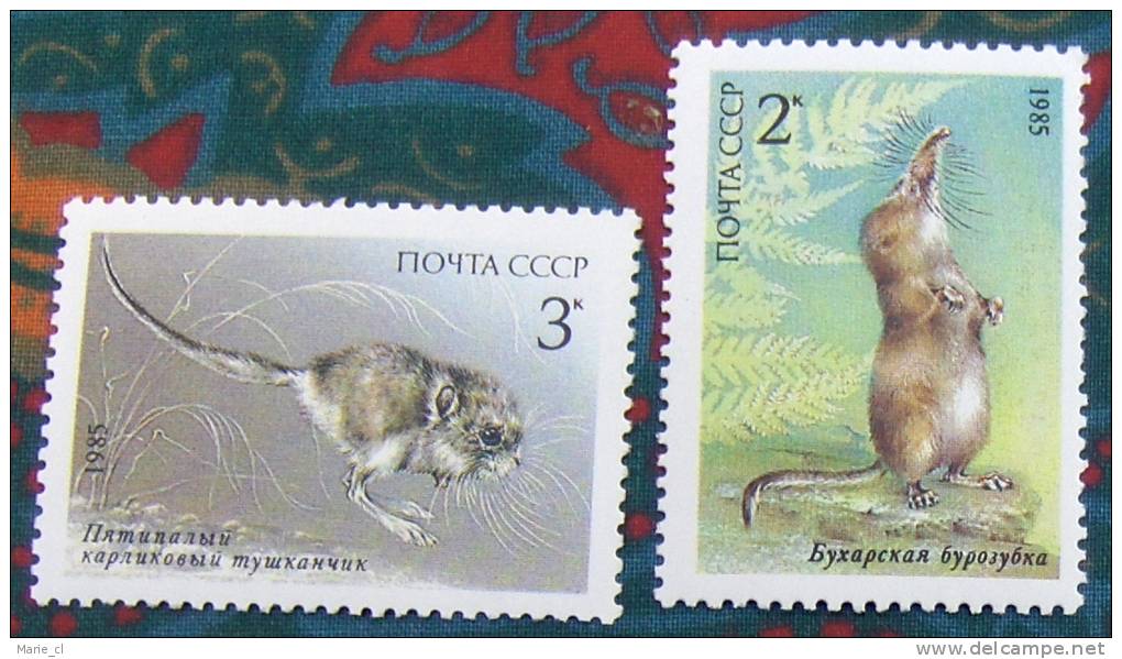 Lot 2 Timbres - à Identifier - Rodents