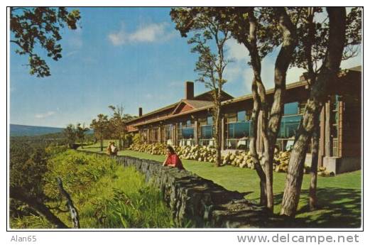 Volcano House HI Hawaii, Dining Room Over-looking Halemaumau Crater,  C1950s/60s Vintage Postcard - Big Island Of Hawaii