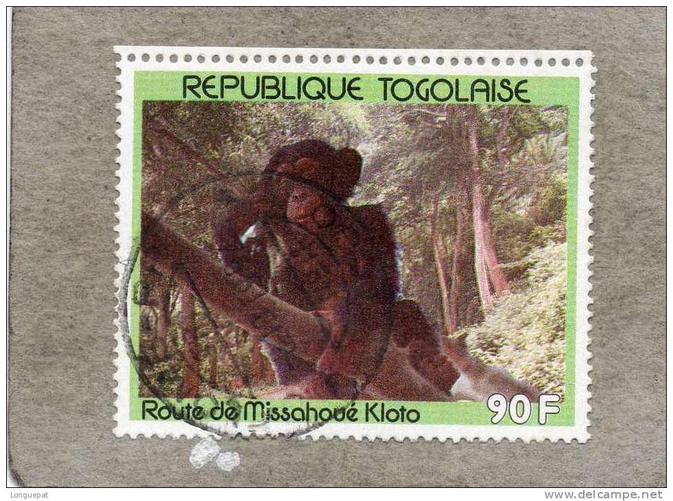 TOGO  :  Chimpanzé  (Pan Troglodytes)   :sur La Route De Missahoué Kloto - Singe - Primate - Chimpansees