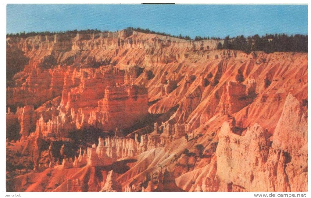 USA – United States – Bryce Canyon From Sunrise Point, Utah, Unused Postcard [P5537] - Bryce Canyon