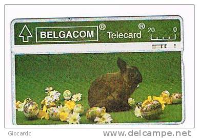 BELGIO (BELGIUM) - BELGACOM (L&G) - 1993 EASTER: RABBIT (CODE 303K) - USED °  -  RIF. 5024 - Conejos