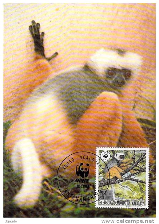 MADAGASCAR  WWF CARTE MAXIMUM NUM.YVERT  842  PROTECTION DE LA NATURE  LEMURIEN - Maximum Cards