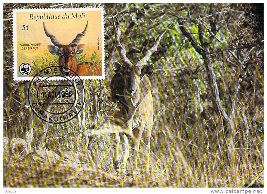 MALI WWF CARTE MAXIMUM NUM.YVERT  538   PROTECTION DE LA NATURE  ELAN DE DERBY - Maximum Cards