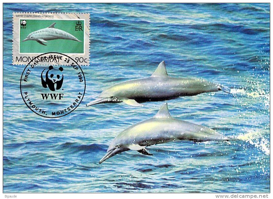 MONTSERRAT       WWF CARTE MAXIMUM NUM.YVERT 743   PROTECTION DE LA NATURE  FAUNE MARINE DAUPHIN - Maximumkarten