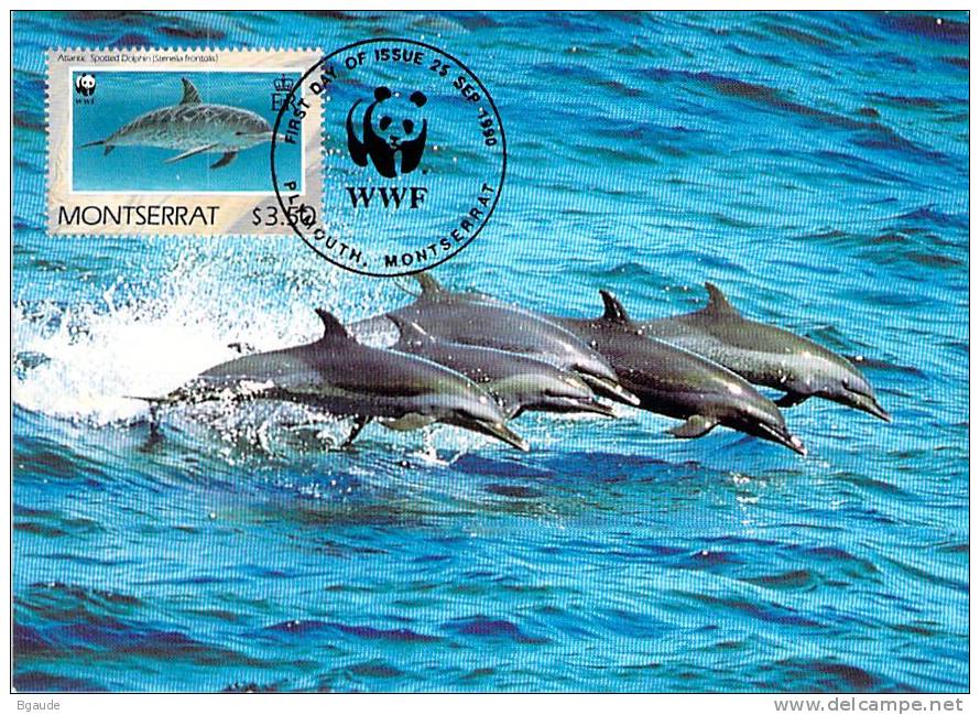 MONTSERRAT       WWF CARTE MAXIMUM NUM.YVERT 746   PROTECTION DE LA NATURE  FAUNE MARINE DAUPHIN - Maximum Cards