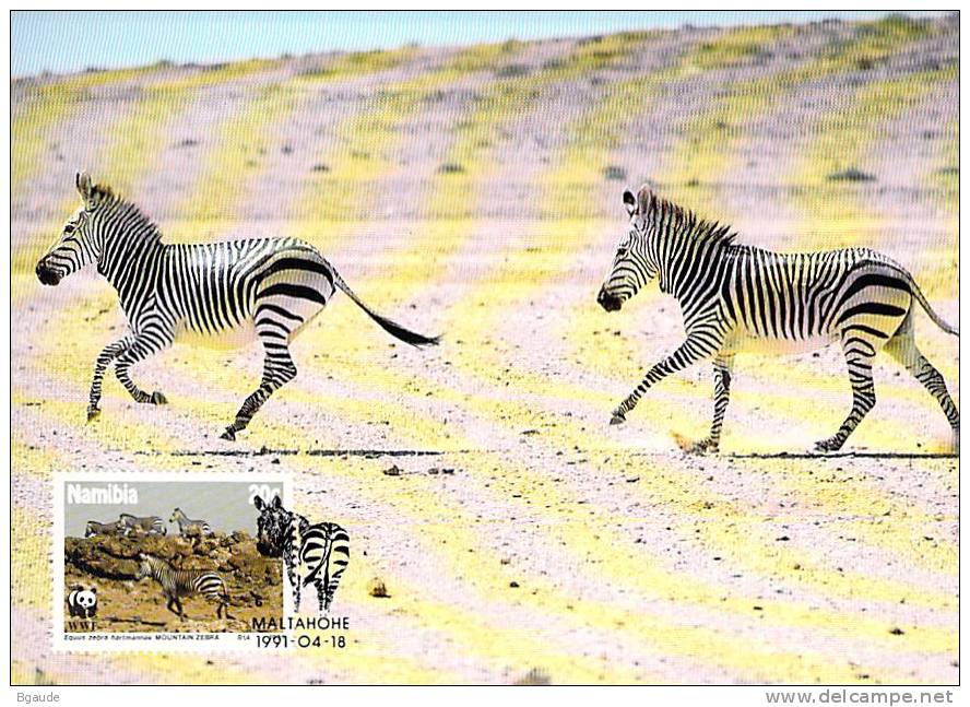 NAMIBIE        WWF CARTE MAXIMUM NUM.YVERT 659   PROTECTION DE LA NATURE  ZEBRE DES MONTAGNES - Maximum Cards