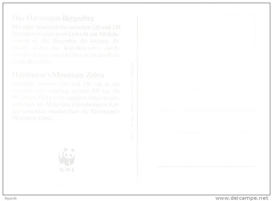 NAMIBIE        WWF CARTE MAXIMUM NUM.YVERT 662   PROTECTION DE LA NATURE  ZEBRE DES MONTAGNES - Maximum Cards