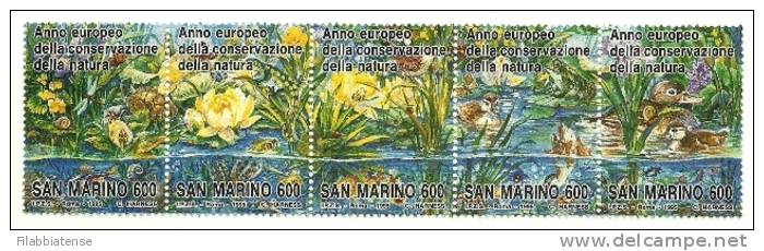 1995 - San Marino 1437/41 Anno Conservazione Natura   +++++++ - Kikkers