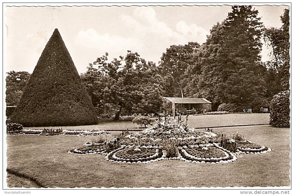 AK Oldenburg I. Oldb. Partie Im Schloßgarten 13. 3. 59 - 20 (23) OLDENBURG (OLDB) 3 H Nach Hamburg Mit 1 X 10 PF DEUTSCH - Oldenburg (Holstein)