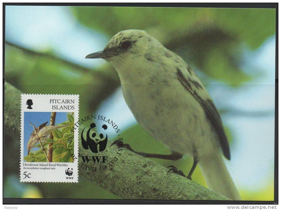 WWF - 1996 - Iles Pitcairn - Rousserolle De Pitcairn - FDC 1 Carte + 1 Lettre - Other & Unclassified