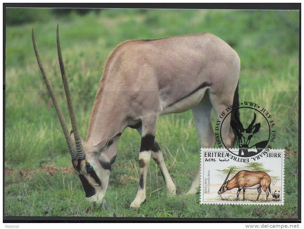 WWF - 1996 - Erythrée - Oryx Beisa - FDC 1 Carte + 1 Lettre - Other & Unclassified