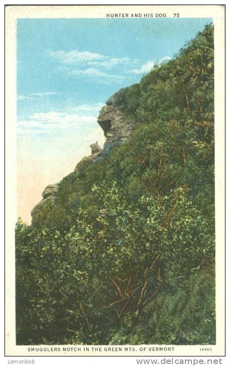 USA – United States – Hunter And His Dog, Smugglers Notch In The Green Mts. Of Vermont, 1920s  Unused Postcard [P5559] - Other & Unclassified