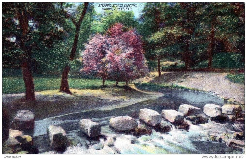 England - Yorkshire - Stepping Stones, Endcliffe Woods, Sheffield - Sheffield