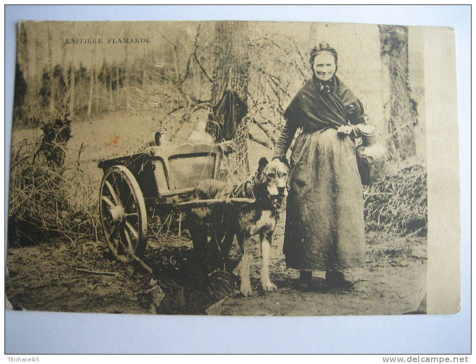 Laitière Flamande - Vlaamse Melkvrouw - Attelage Chien - Hondenspan - Sonstige & Ohne Zuordnung