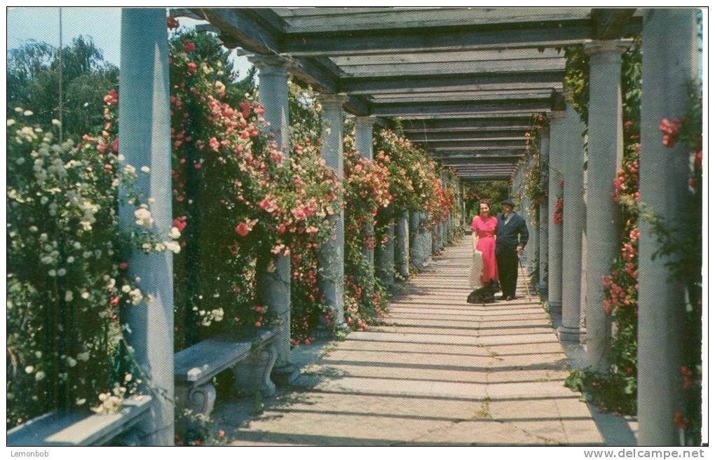 USA – United States – Classic Italian Renaissance Marble Pergola, Sculpture Gardens Of Swannaona Palace Postcard[P5627] - Other & Unclassified