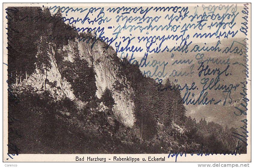 7139  BAD HARZBURG    Circulée 1913 - Bad Harzburg