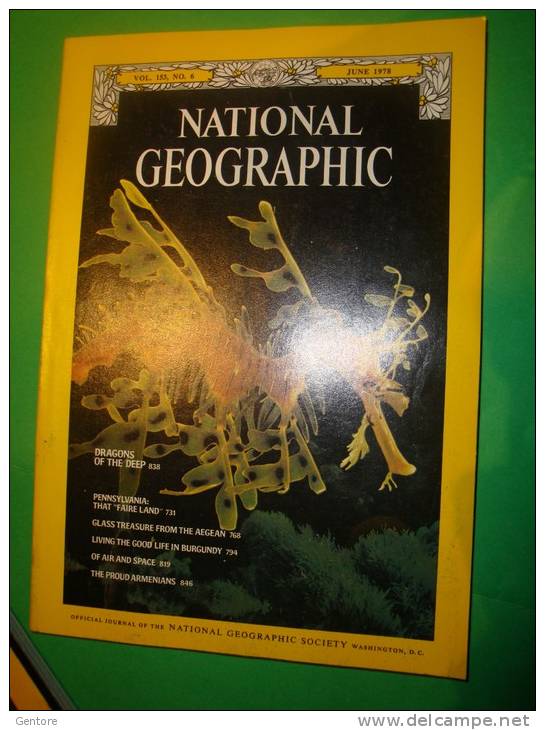 NATIONAL GEOGRAPHIC  Dal 1976 Al 1981  6 Annate Complete Condizioni  Buone/ottime - Other & Unclassified