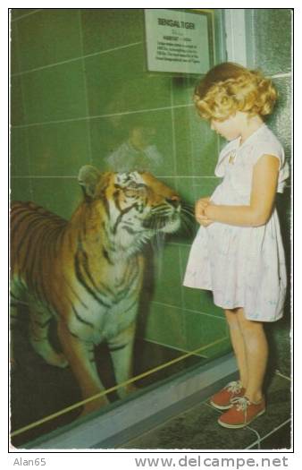 Seattle WA, Woodland Park Zoo, Girl With Bengal Tiger, C1950s Vintage Chrome Postcard - Seattle