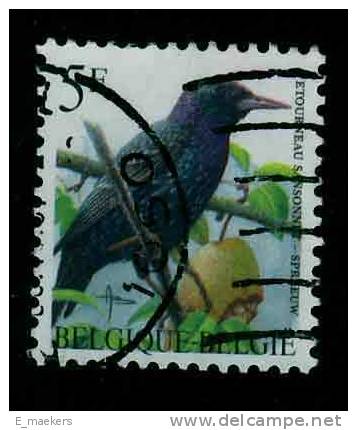 België 1996, Nr 2638 - USED / GESTEMPELD / OBLITERE - Catw 0,2€ - 1985-.. Pájaros (Buzin)