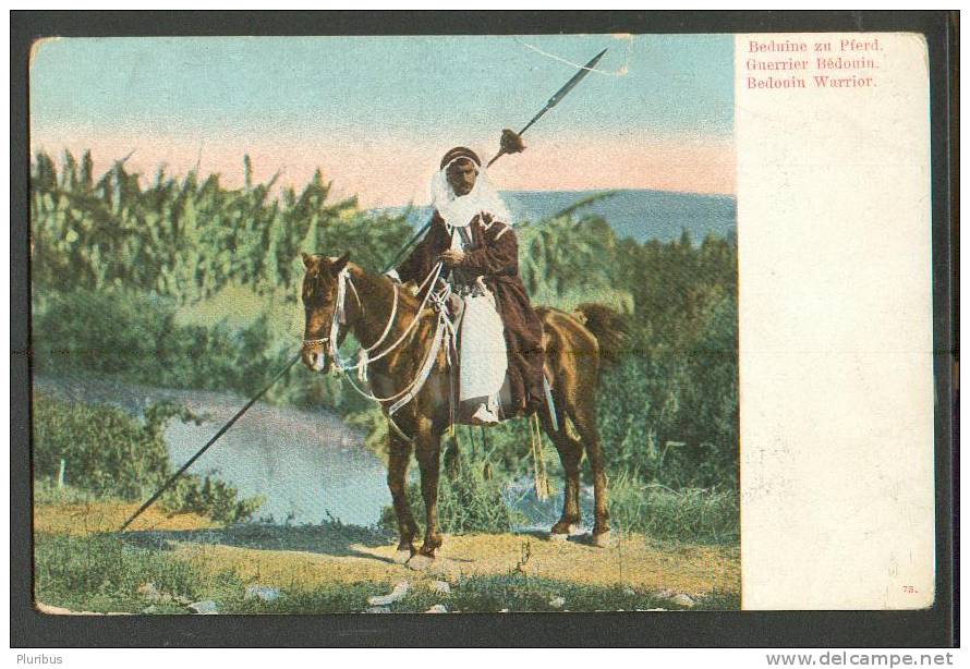 BEDOUIN WARRIOR ON HORSE ,  OLD POSTCARD - Non Classificati