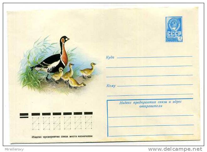 ENTIER POSTAL RUSSE CANETON CANARD - Ducks