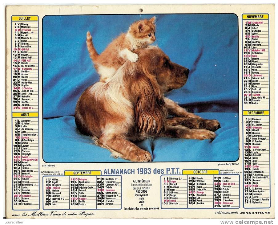 CALENDRIER ALMANACH DES P.T.T.  1983 CHIEN CHATON COCKER SPANIEL - Grand Format : 1981-90