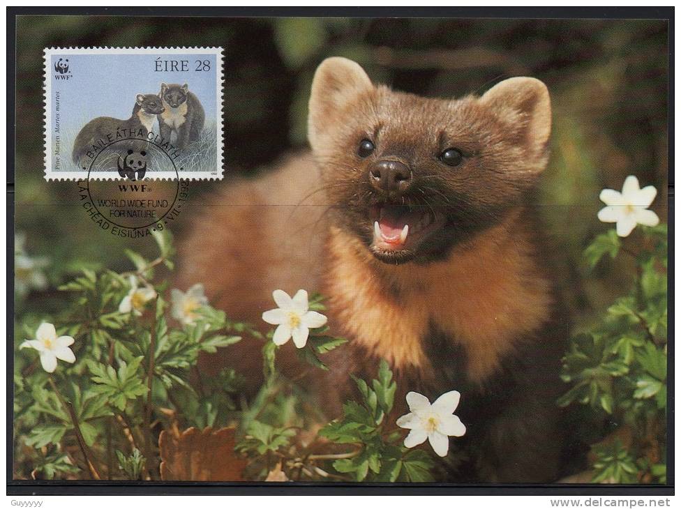 WWF - 1992 - Irlande - Martre Des Pins - FDC 1 Carte + 1 Lettre - Other & Unclassified