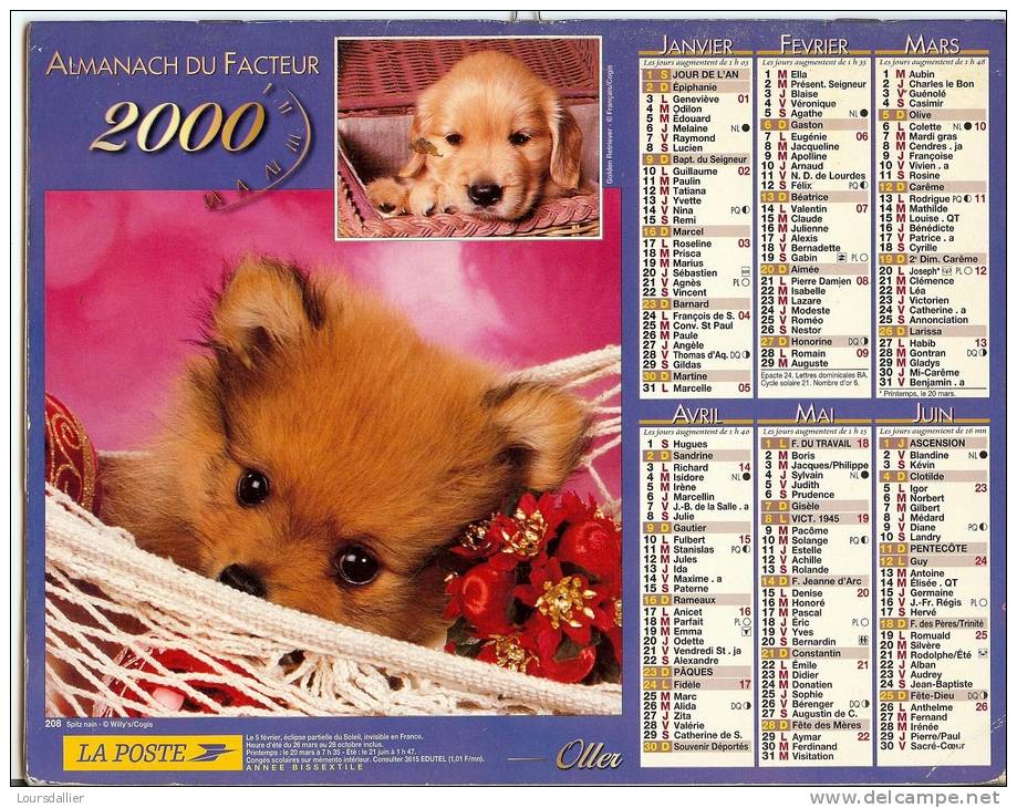 CALENDRIER ALMANACH DES P.T.T.  2000 CHIOTS CANICHE YORKSHIRE SPITZ NAIN ET GOLDEN RETRIEVER - Grossformat : 1991-00