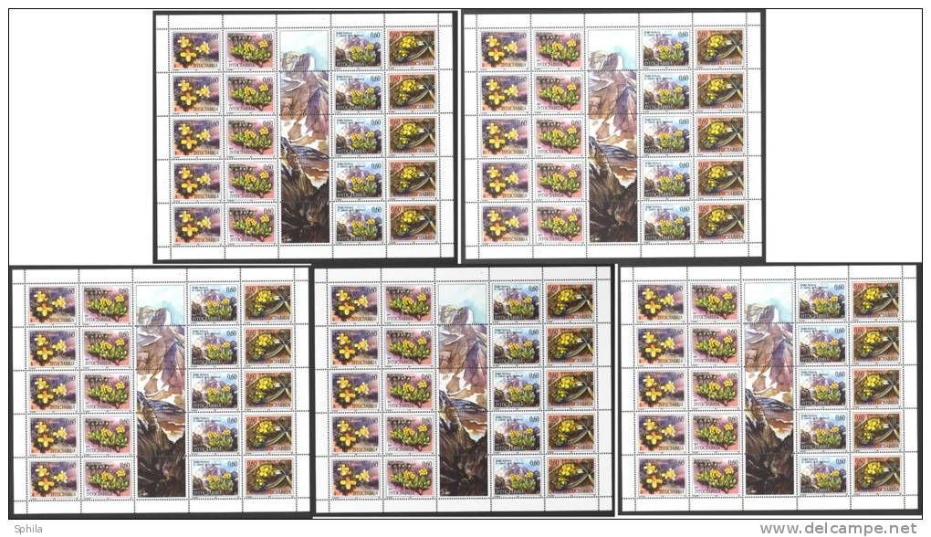 Jugoslawien – Yugoslavia 1995 Protected Flora – Draba Full Sheet Of 20 Stamps + 5 Labels (5 Sets) MNH, 5 X; Mi.2716-19 - Blocks & Sheetlets