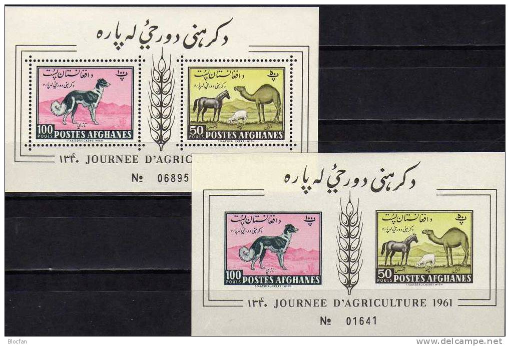 Landwirtschaft 1961 Afghanistan Block 8 A+B ** 20&euro; Pferd Schaf Hund Dromedar Ähre Hb Blocs Fauna Sheets Bf Afghanes - Afganistán