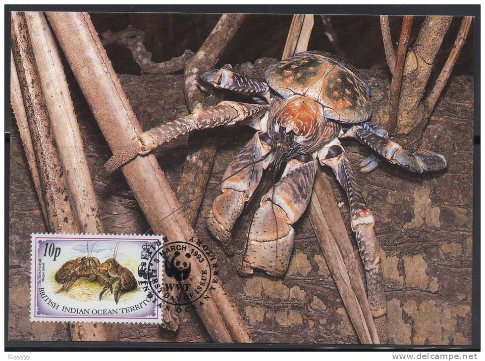 WWF - 1993 - British Indian Ocean Territory - Crabe Des Cocotiers - FDC 1 Carte + 1 Lettre - Andere & Zonder Classificatie