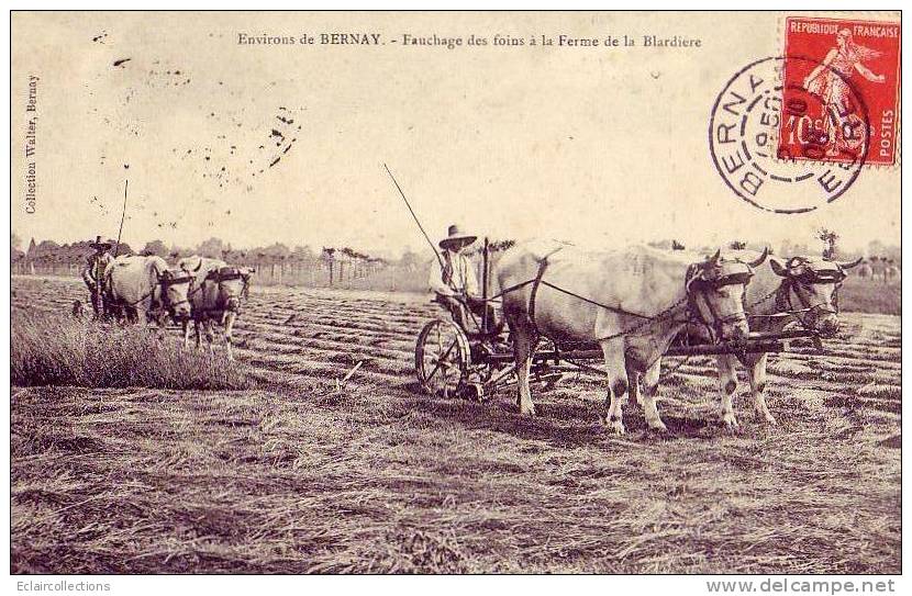 Bernay..Agriculture..Fauc Hage  Des Foins Ferme De La Blardière   ( Voir Scan Et / Ou Annotation ) - Bernay