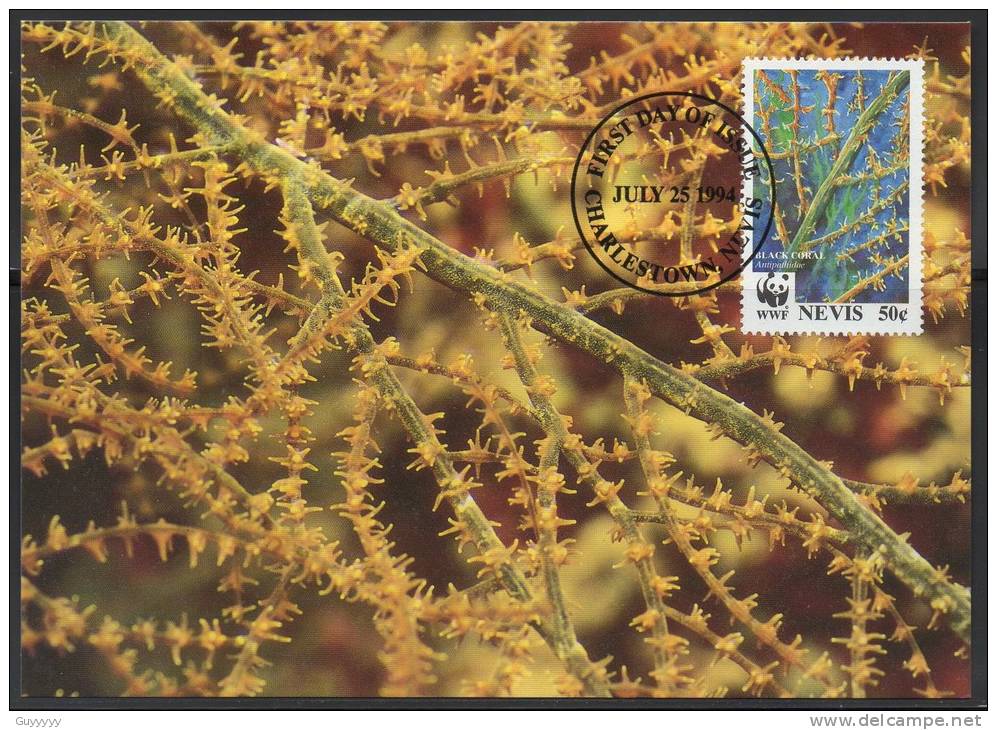 WWF - 1994 - Nevis - Coraux Noirs - FDC 1 Carte + 1 Lettre - Andere & Zonder Classificatie