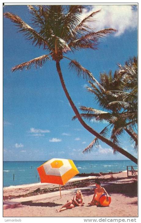 USA – United States – Normandy Plaza Hotel, Miami Beach, Florida, 1950s Unused Chrome Postcard [P5690] - Miami Beach