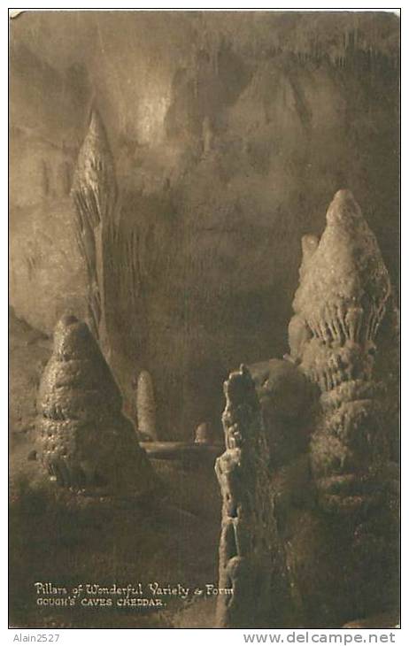 CHEDDAR - Pillars Of Wonderful Variety &amp; Form - Gough's Caves (William Gough, Cheddar) - Cheddar