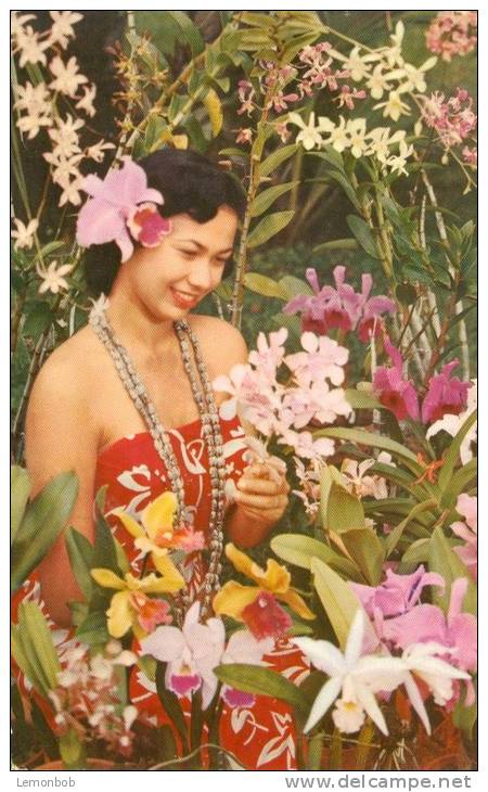 USA – United States – Lovely Hawaii, The Tender Loveliness Of A Sarong Clad Maiden, 1959 Used Postcard [P5699] - Big Island Of Hawaii