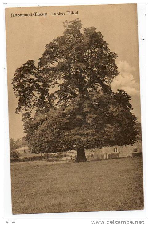 18650  -  Jévoumont-Theux  Le  Gros  Tilleul - Theux