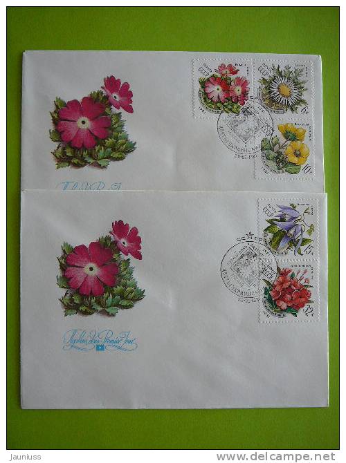 USSR Russia 1981 Flora Flowers Set Of 2 FDC - FDC