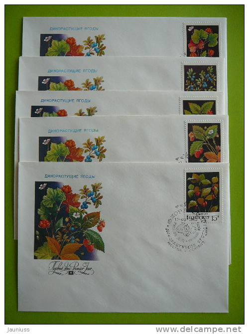 USSR Russia 1982 Flora Beries Flowers Set Of 5 FDC - FDC