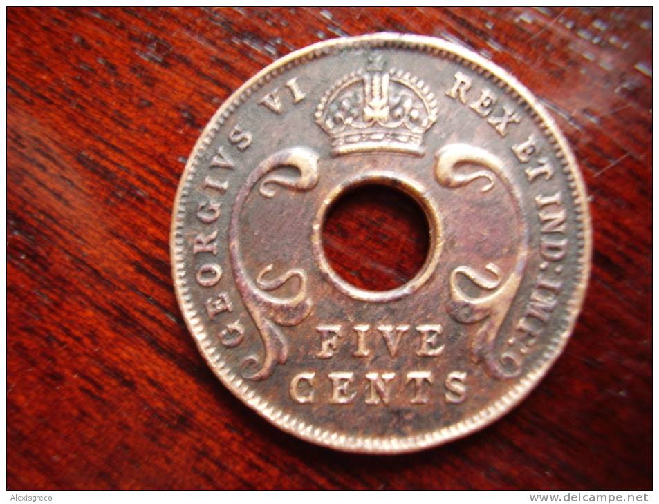 BRITISH EAST AFRICA USED FIVE CENT COIN BRONZE Of 1943 (SA) - British Colony