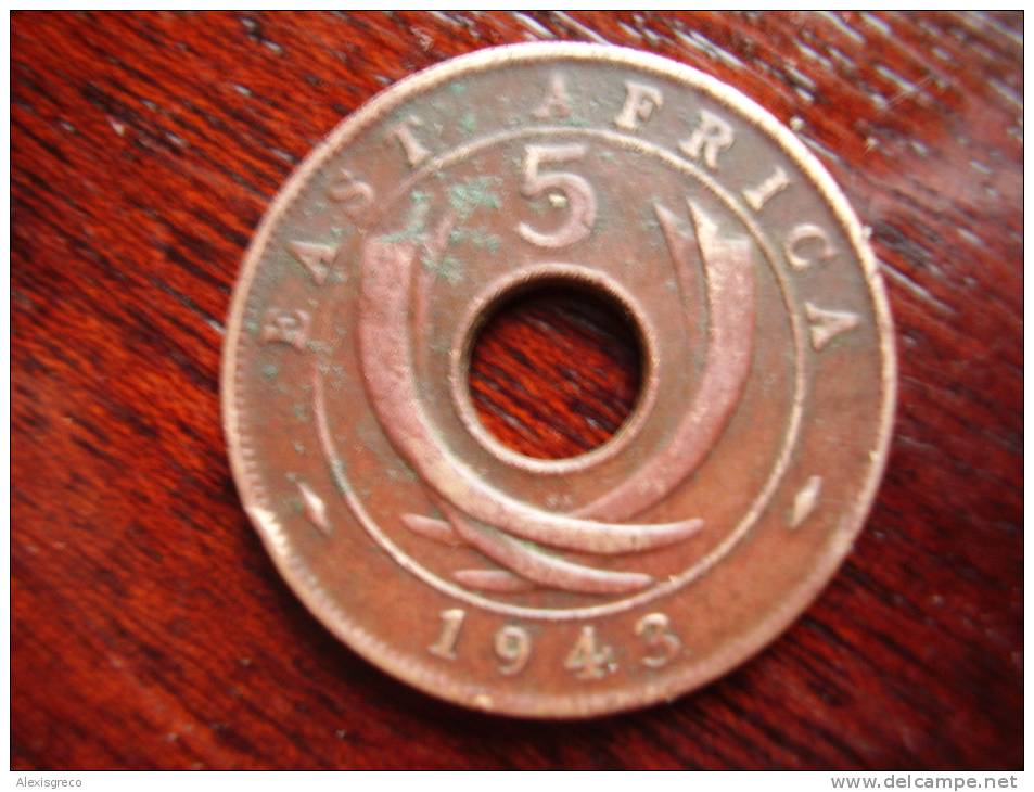 BRITISH EAST AFRICA USED FIVE CENT COIN BRONZE Of 1943 (SA) - Colonia Británica