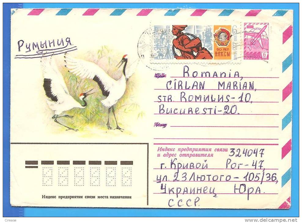 Birds, Bird,  Russia URSS. Postal Stationery Cover 1979 - Flamingos