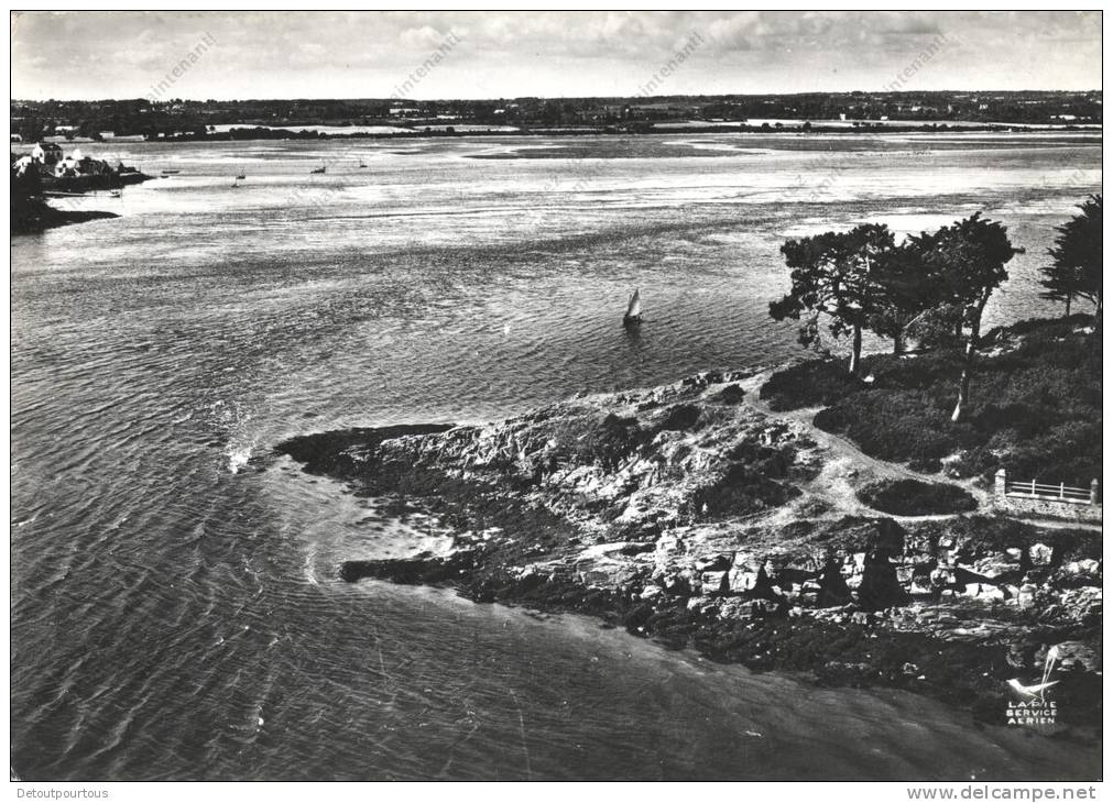 L' ILE AUX MOINES Morbihan 56 : La Pointe Du Bois D'Amour Vue Aérienne - Ile Aux Moines